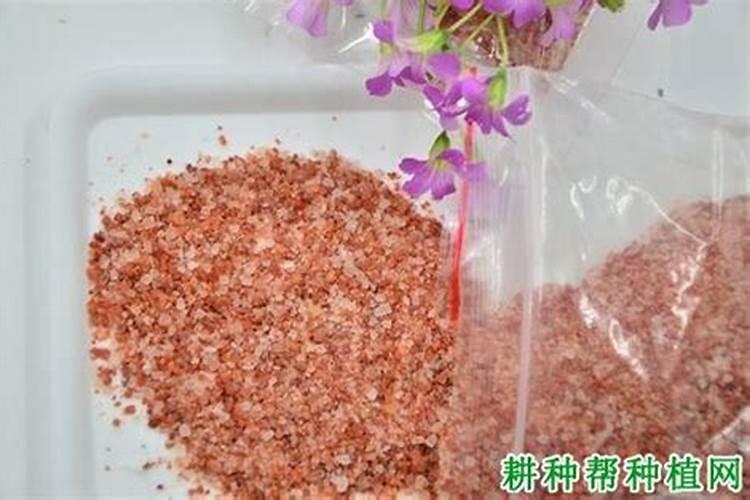 如何科学施用钾肥？