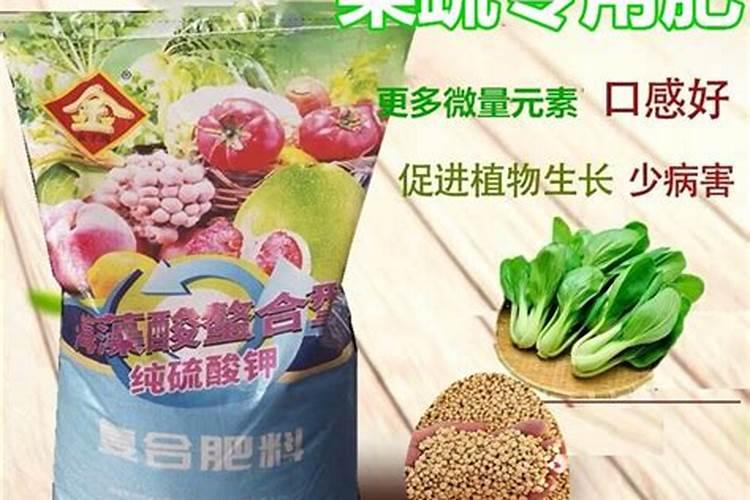 哪种水溶肥可以种菜种子发芽？