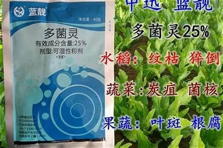 多菌灵能防治的病害有哪些？