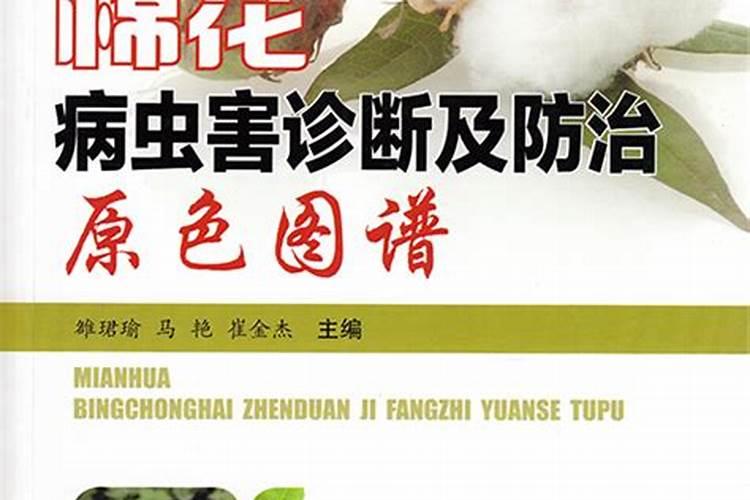 棉花极大病害防治要点