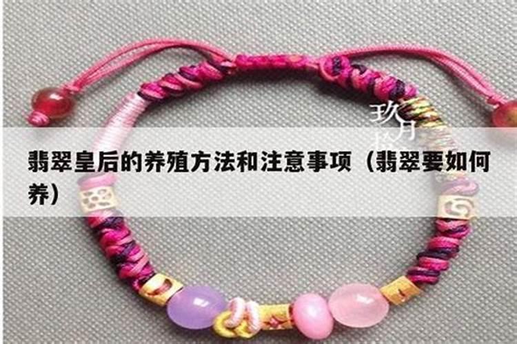 翡翠珠的养殖方法和注意事项