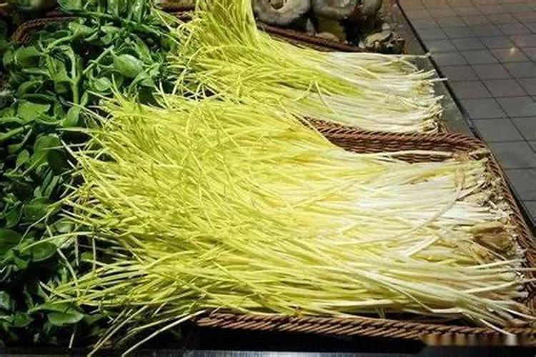 龙陵紫皮蒜无公害栽培技术