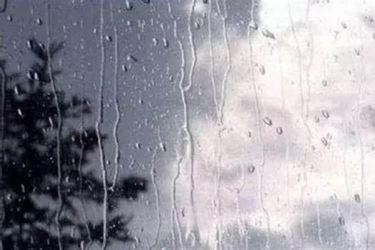阴雨绵绵，用药需审慎——谈多阴雨天气下蔬菜施药的合理策略？