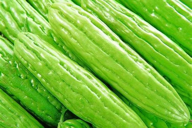 苦中带甜：揭秘苦瓜的食疗与药用价值