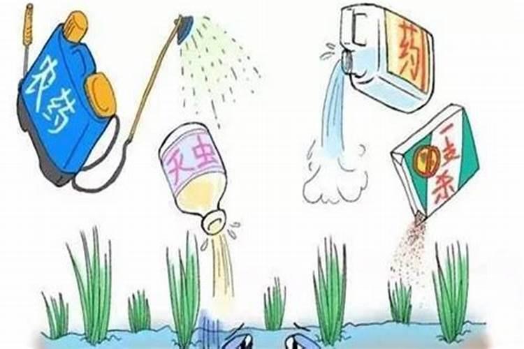 怎样合理使用化学农药？