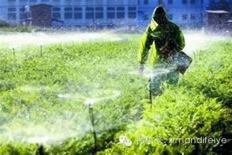 天气与生物制剂农药：四个关键因素的深度解析