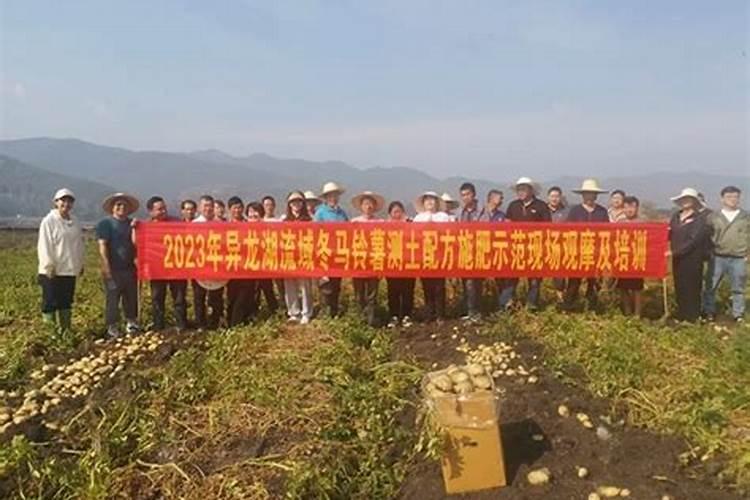 大萝卜测土配方施肥技术：农业科技助力增产提质