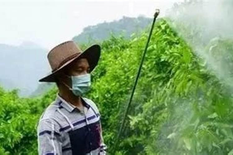 果树根外追肥的好处，果树施肥方法有哪些？