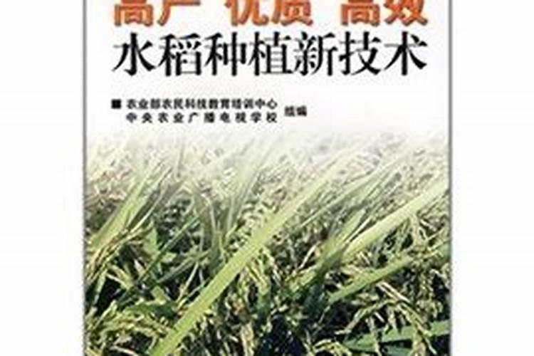 水稻高产技术规范措施