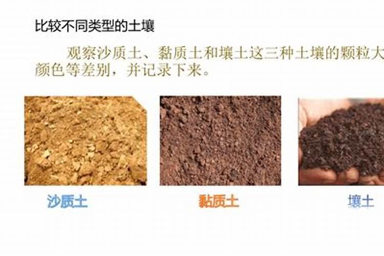 黏质土用什么磷肥好一点呢？