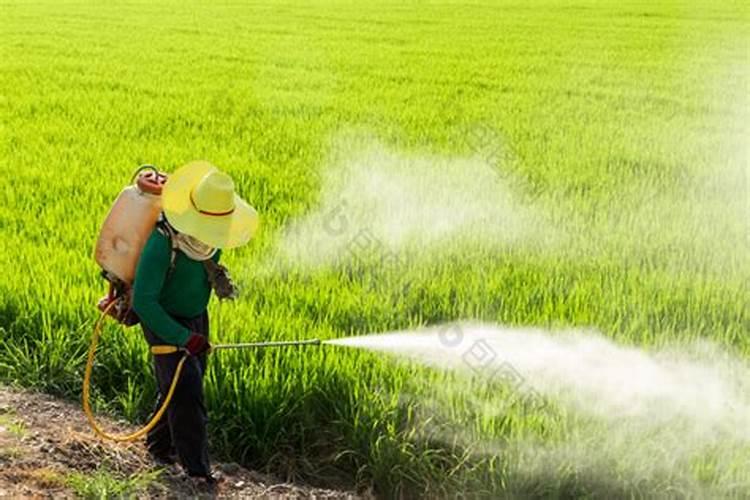 夏季喷农药避开“四天气”,分别是哪四种天气？