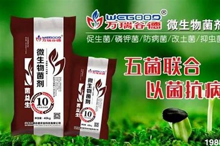 有机质、腐殖质、腐植酸到底有啥区别？