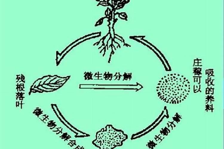 有机质、腐殖质、腐殖酸之间有什么区别啊？