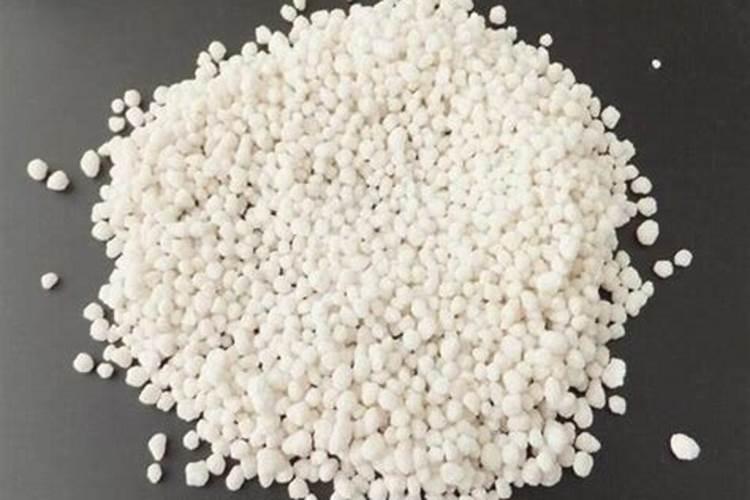 浇氮肥适用什么花种？