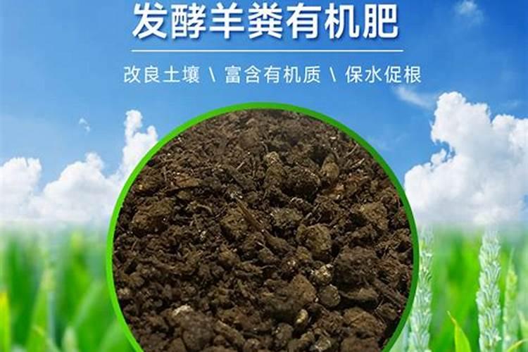 羊粪肥优缺点
