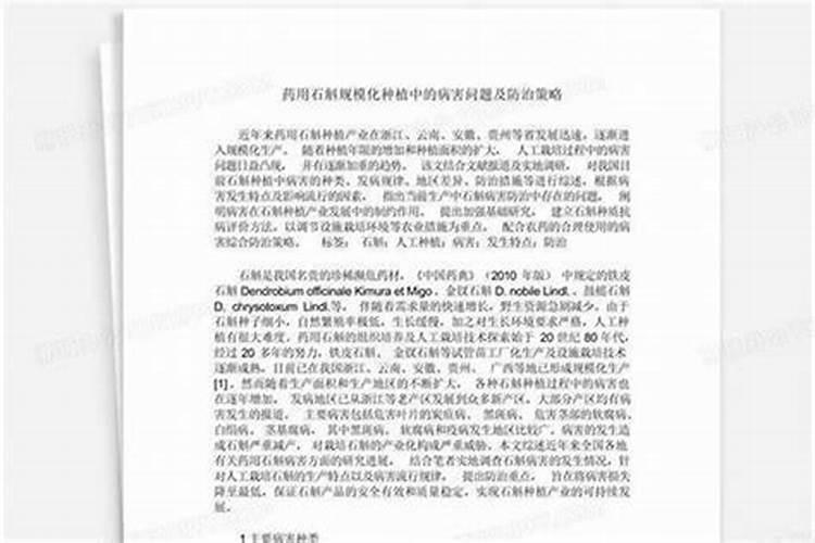 守护枇杷芬芳：科学防治花期病虫害策略
