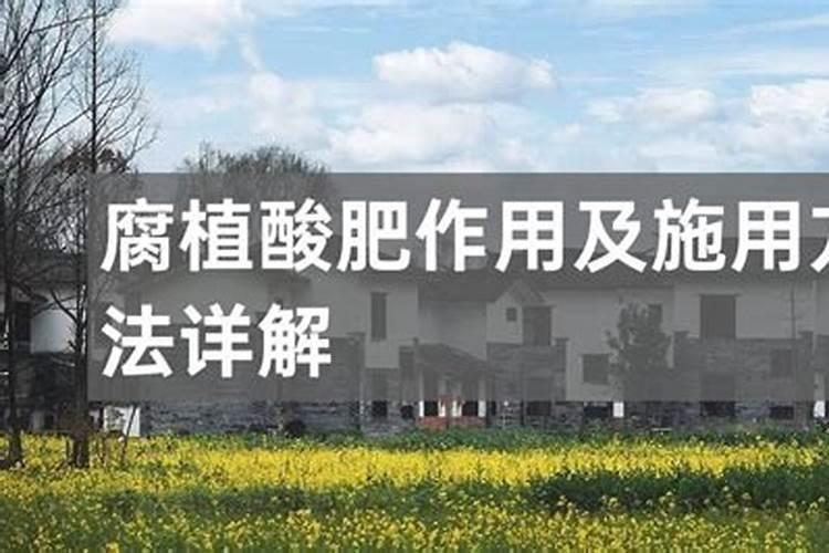腐植酸肥有哪些作用？怎么正确施用？