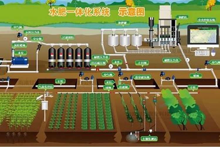 智慧农耕：科学确定蔬菜施肥量的绿色策略