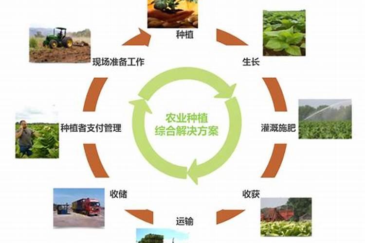 农药使用期限的延长策略：确保农业持续性的关键