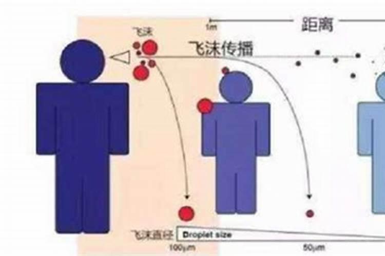 西兰花立枯病的传播途径有哪些？