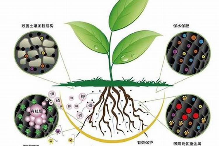 如何改良粘土土壤的通气透水性及其肥力？