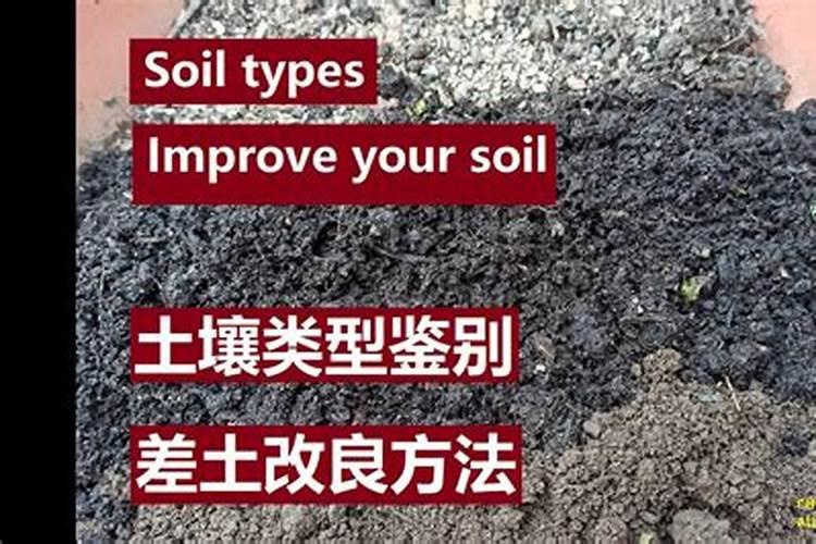 怎样改善种菜土壤