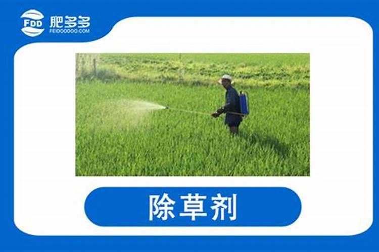 如何正确使用除草剂,避免出药害