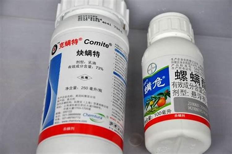 使用克螨特时要注意哪些问题？