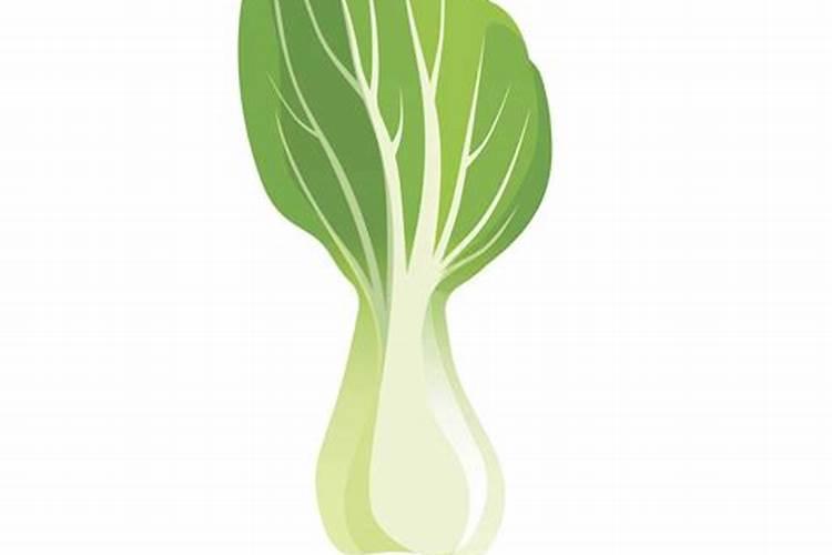 绿色护卫：高效防治芹菜蚜虫的科学方法？