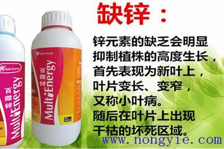锌肥的使用方法