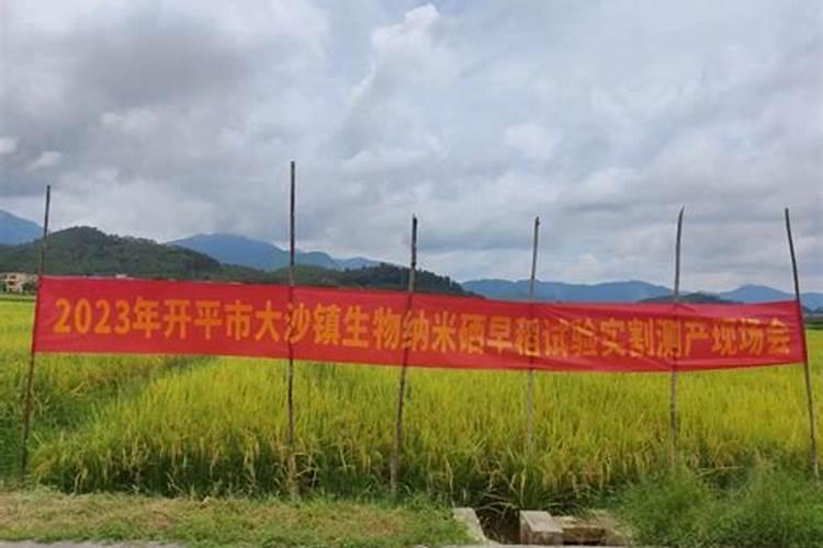纳米硒肥市场规模怎么样啊？