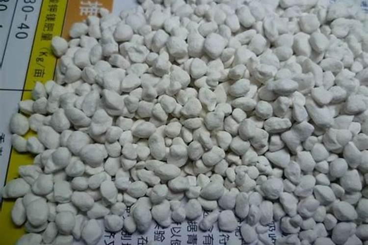 生物钾肥应该如何施用？施用时需要注意什么？
