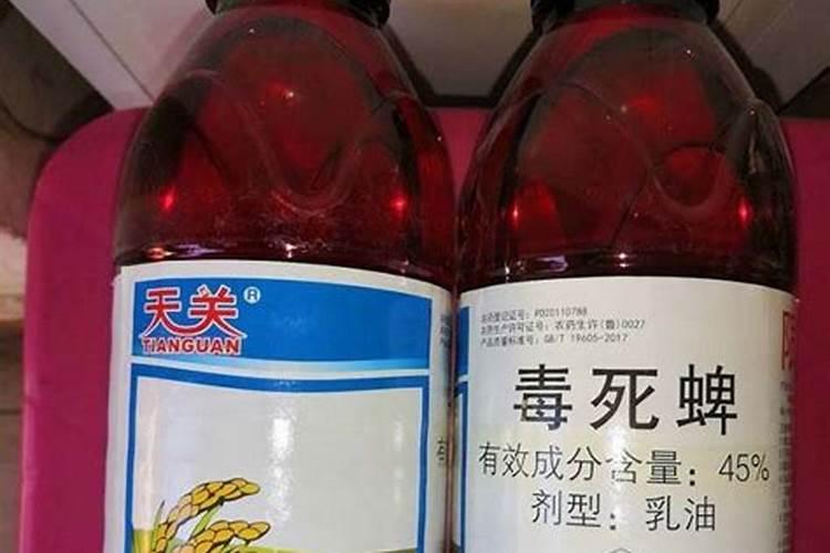 毒死蜱能否杀红蜘蛛，附毒死蜱的使用方法？