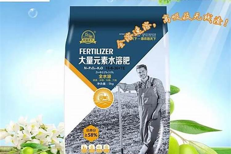 复合肥干施还是水溶？
