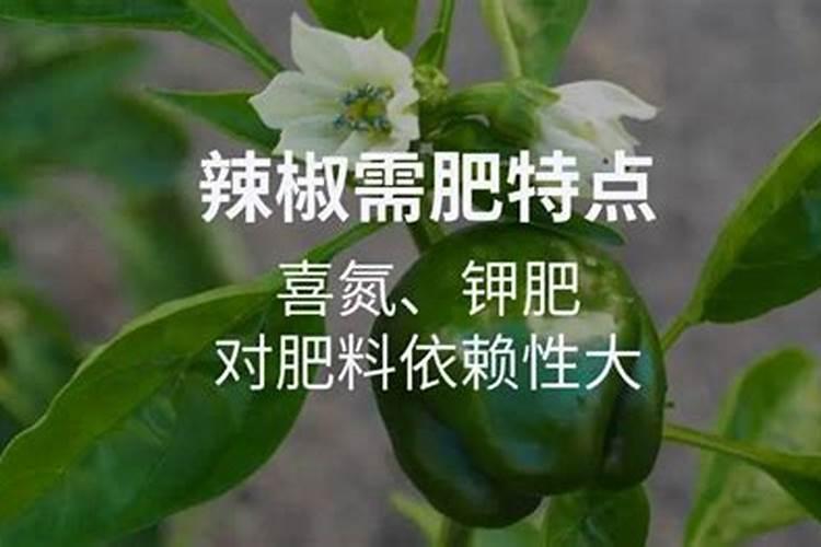 硝酸磷钾肥做辣椒地的底肥好还是芭田的硫酸基好呢