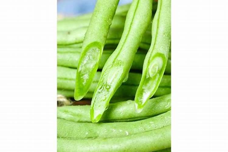 白芸豆种植指南：把握最佳季节，收获满满