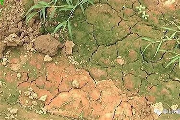 土壤板结的生物化学原理