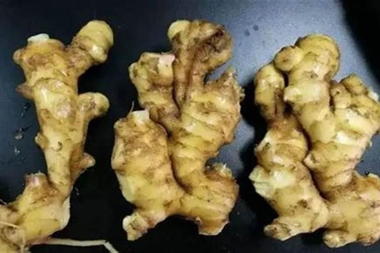 生姜花皮病的传播途径！如何防治生姜花皮病？