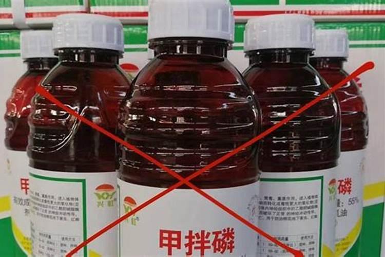 甲拌磷(3911)喷雾有什么危害？