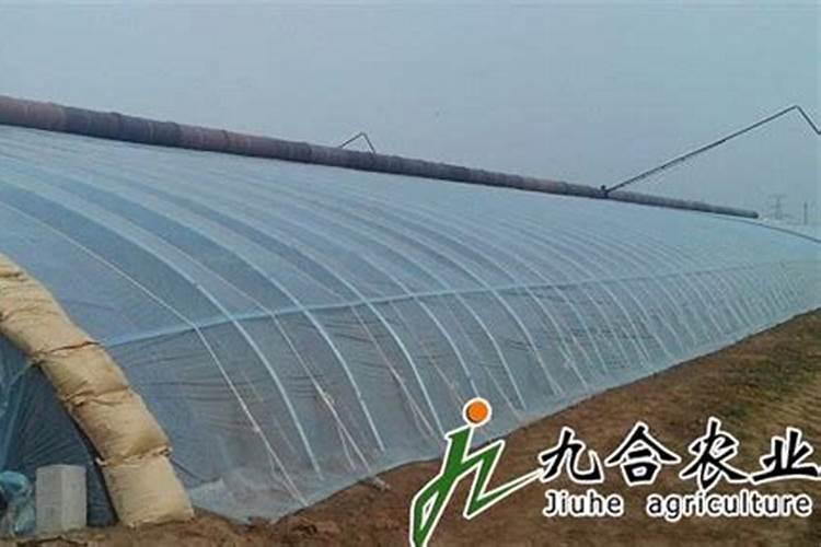 大棚蔬菜保温措施
