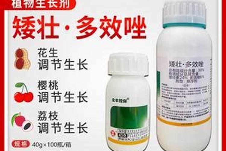 膨大素和叶面肥混用吗怎么用？