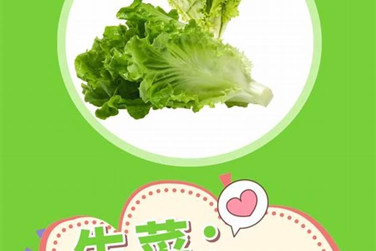 绿意盎然：守护苋菜健康，共筑病害防线