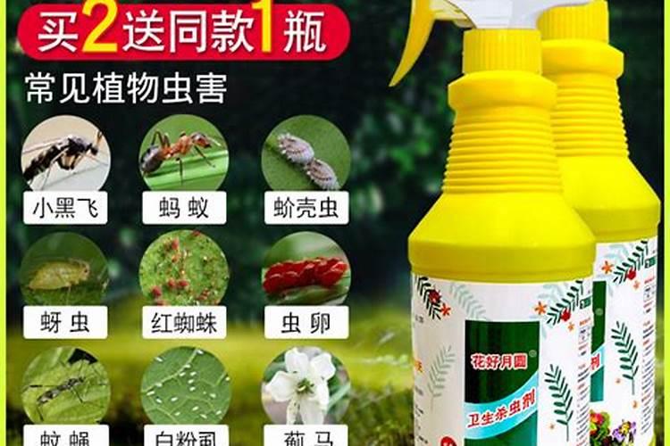 绿色守护：选择环保杀虫药，呵护花卉之美