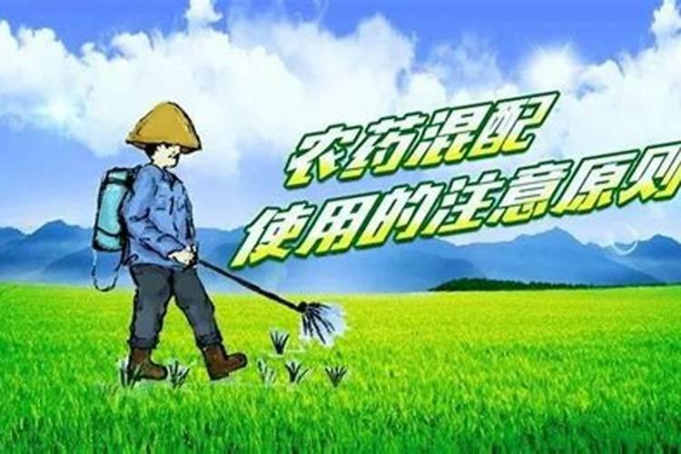 农人必知：掌握农药混用的原则，确保作物安全高效