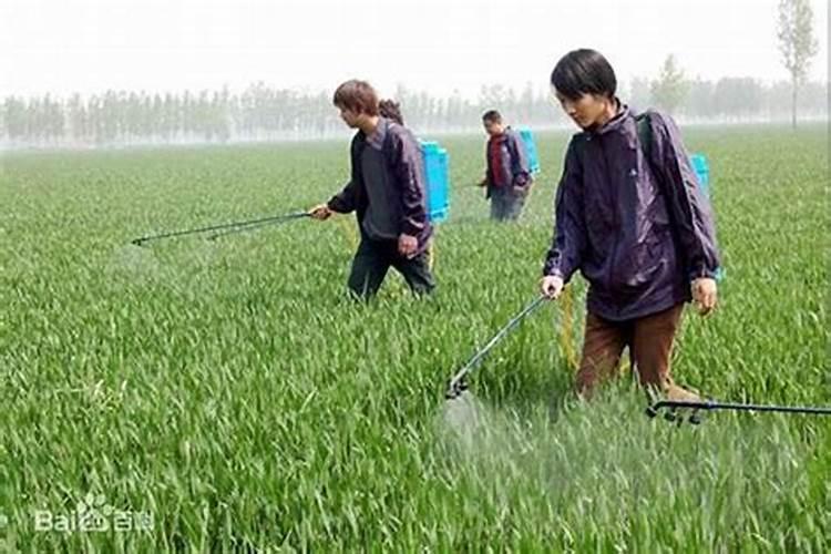 田间农药稀释的智慧：精准配比与环保实践