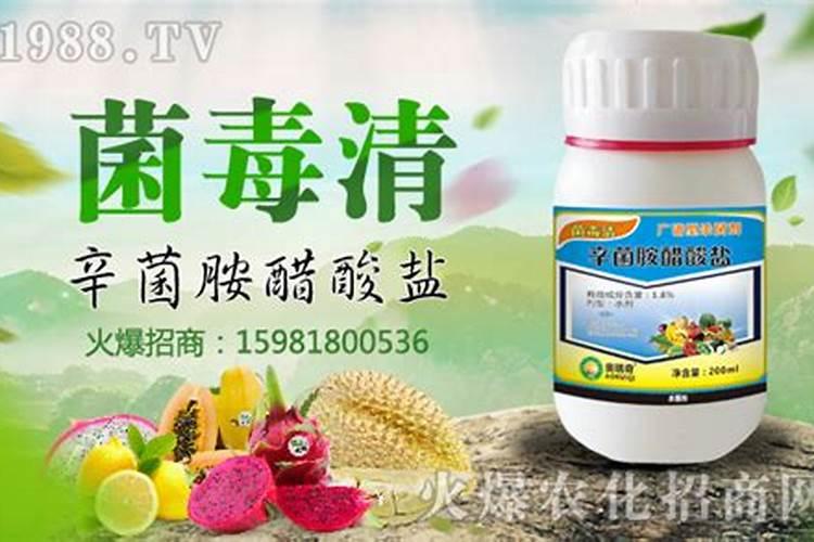 松脂酸铜：自然界的绿色守护者及其科学应用
