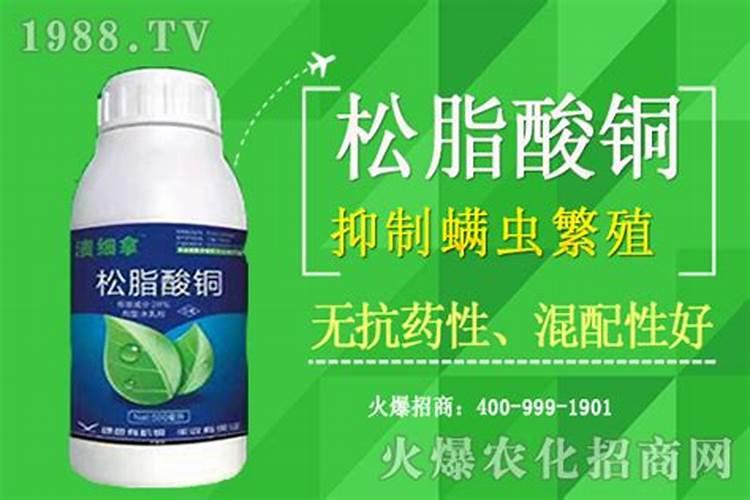 深入探究：松脂酸铜的使用方法与药效全解析？