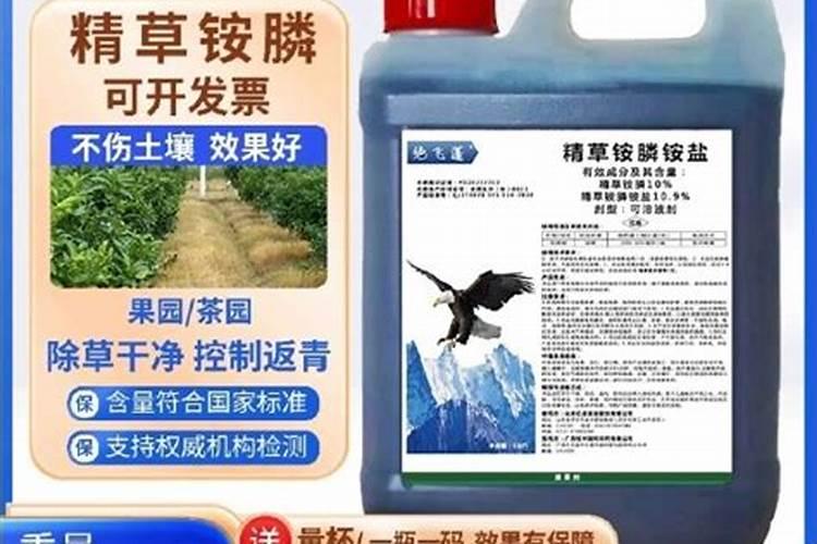 水田封闭除草剂哪个好