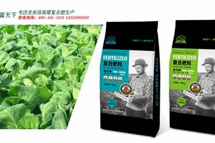 结球甘蓝的需肥管理特性