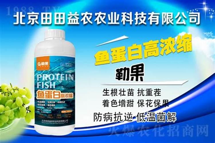 鱼蛋白肥料这么火,怎么用